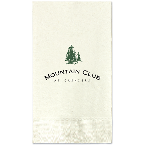 D62 - White 2-Ply Dinner Napkins